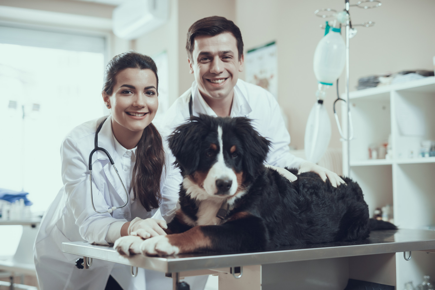 Gestão Financeira para Clínicas Veterinárias: Maximizando Lucros