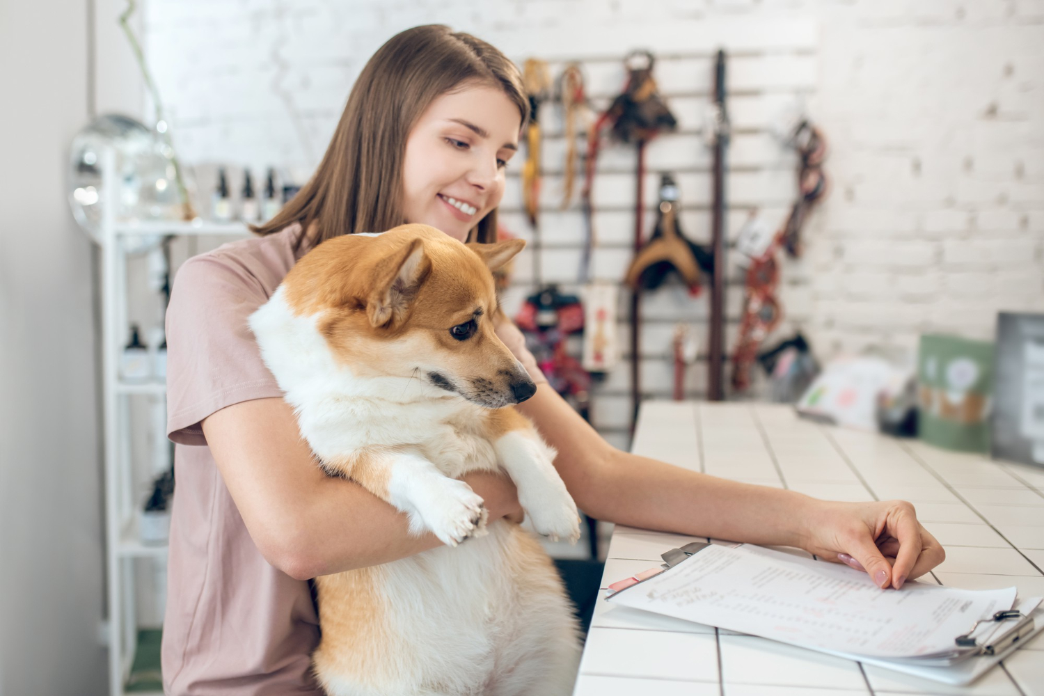 Gestão de Riscos em PetShops Prevenção e Estratégias.